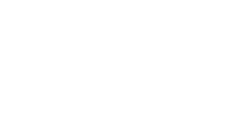 Sarya Holdings LLC